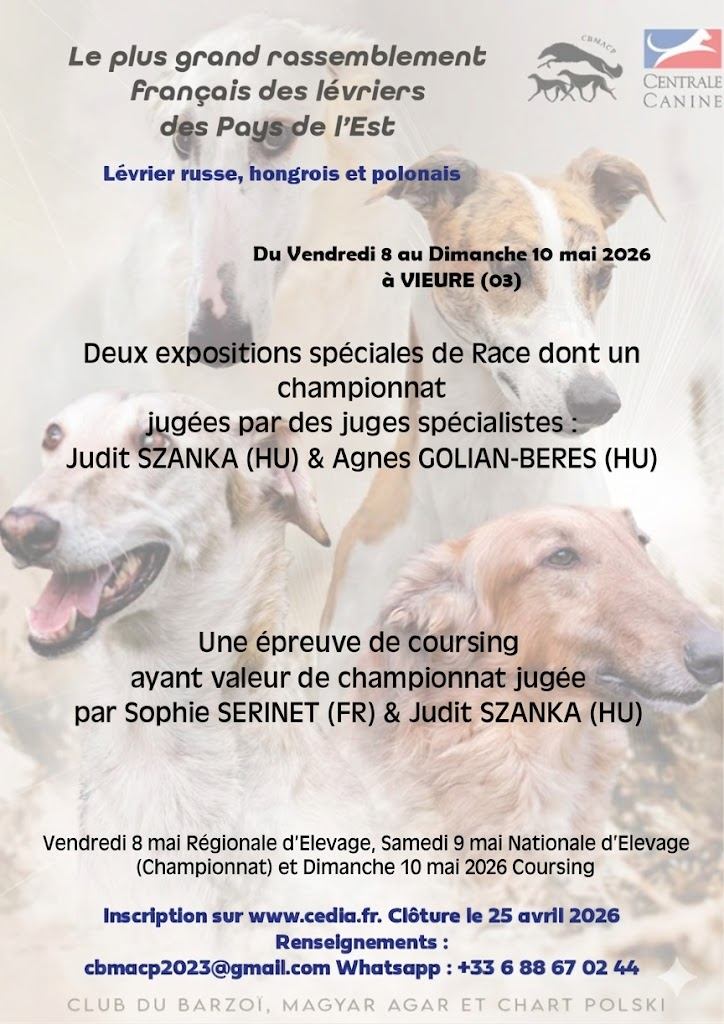 affiche francais final F